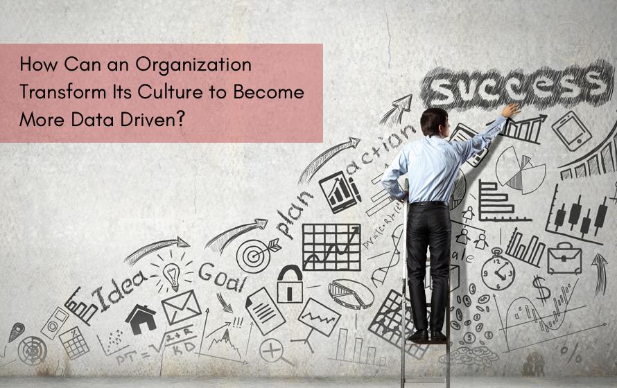 Transform An Organization Culture To Be More Data Driven?