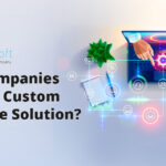 Why Companies Prefer a Custom Software Solution?